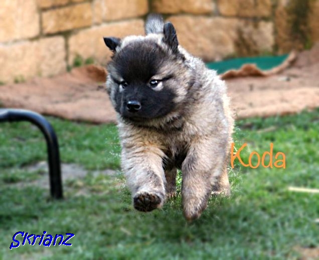 4.2021 - Turbo-Koda